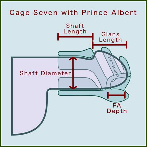 pearcing pene|Prince Albert Piercing: 3 Types, Benefits, Risks, and。